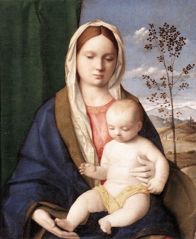 BELLINI, Giovanni Madonna and Child mmmnh France oil painting art